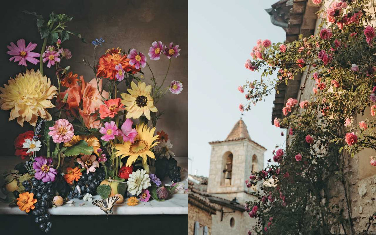 Flowers of Provence